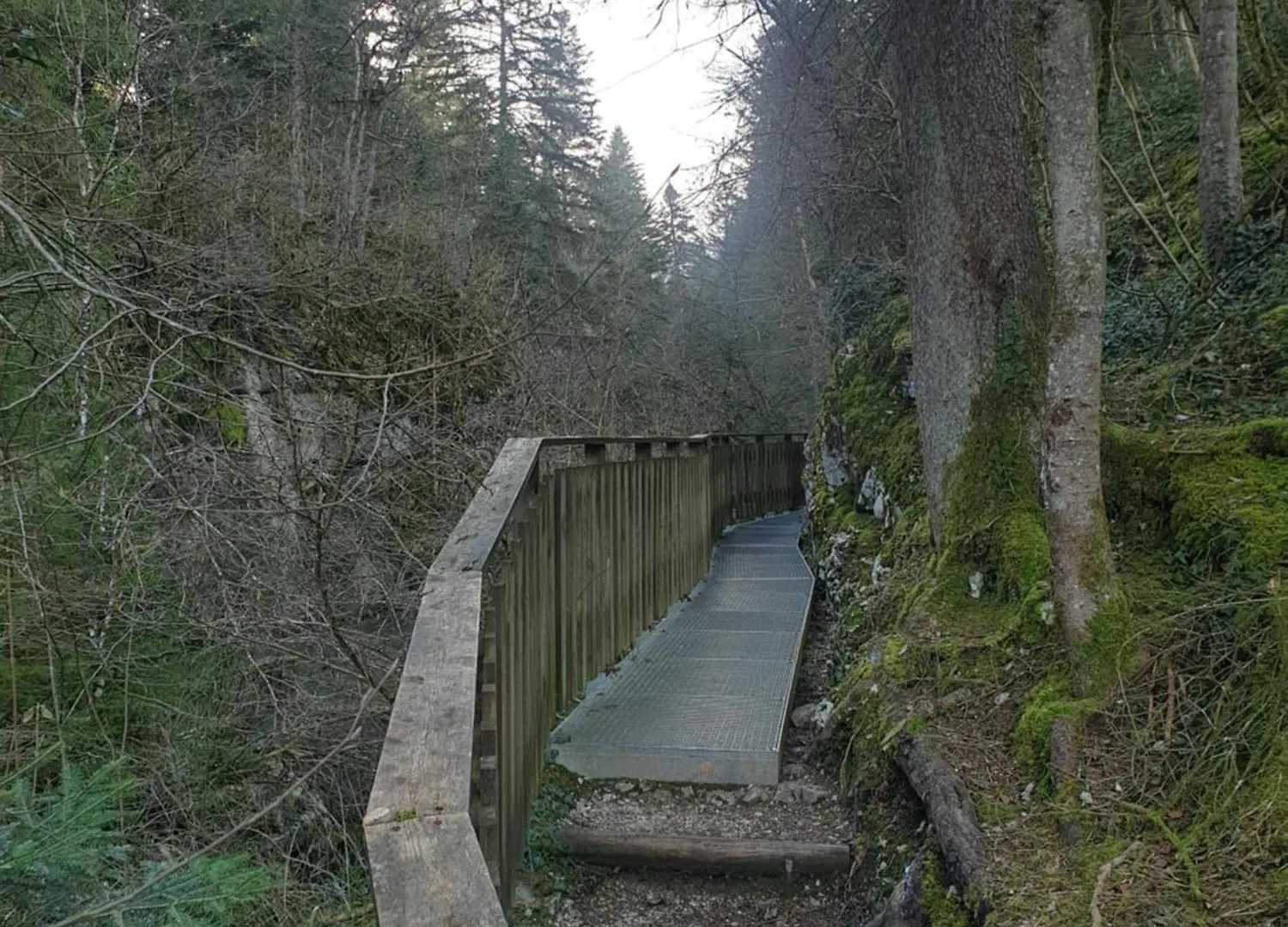 Au Pied De La Foret ! Oyonnax Pensión